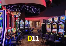 D11